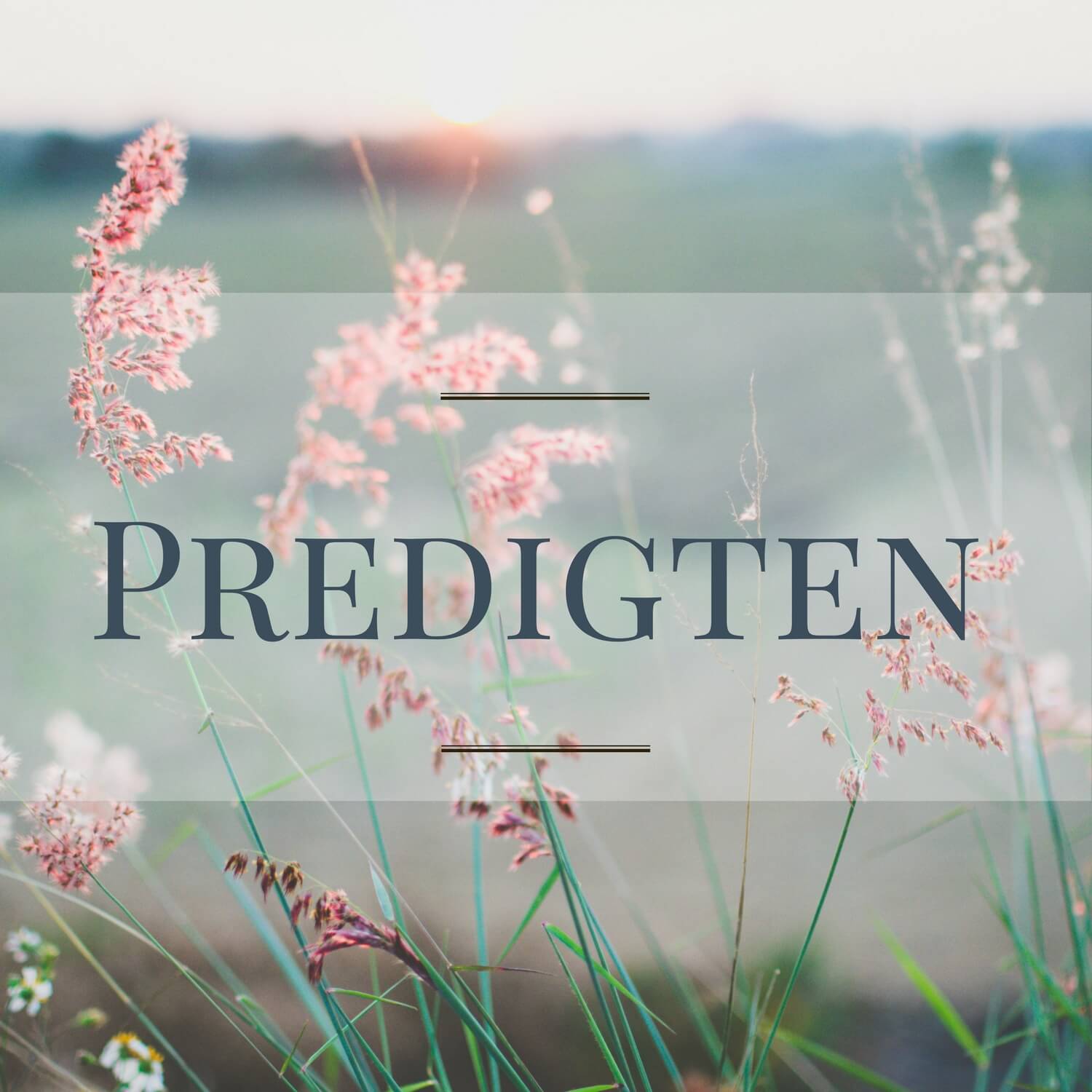 ECG Berlin - Predigten